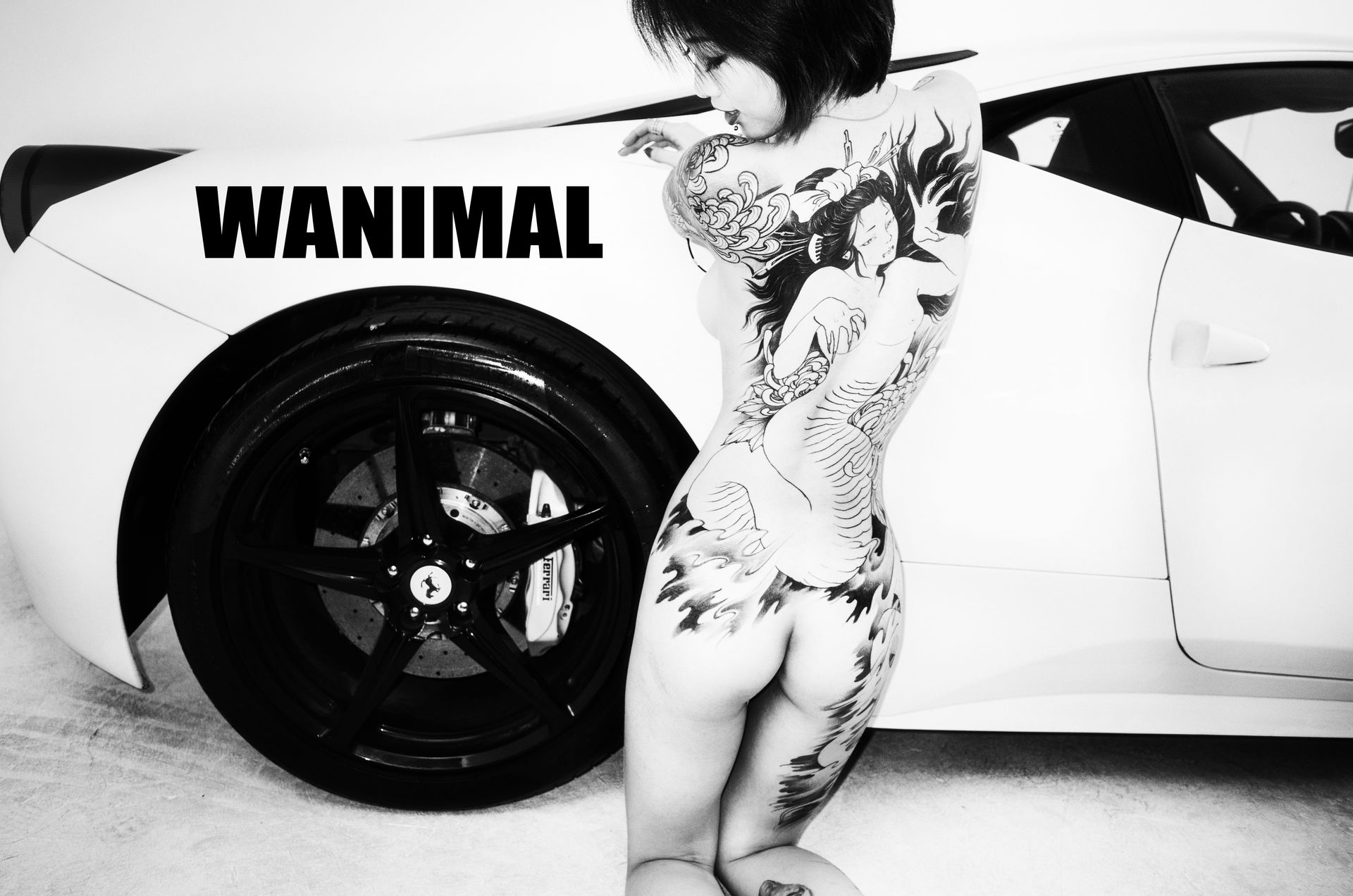 王动出品：法拉利女孩 - 王动作品