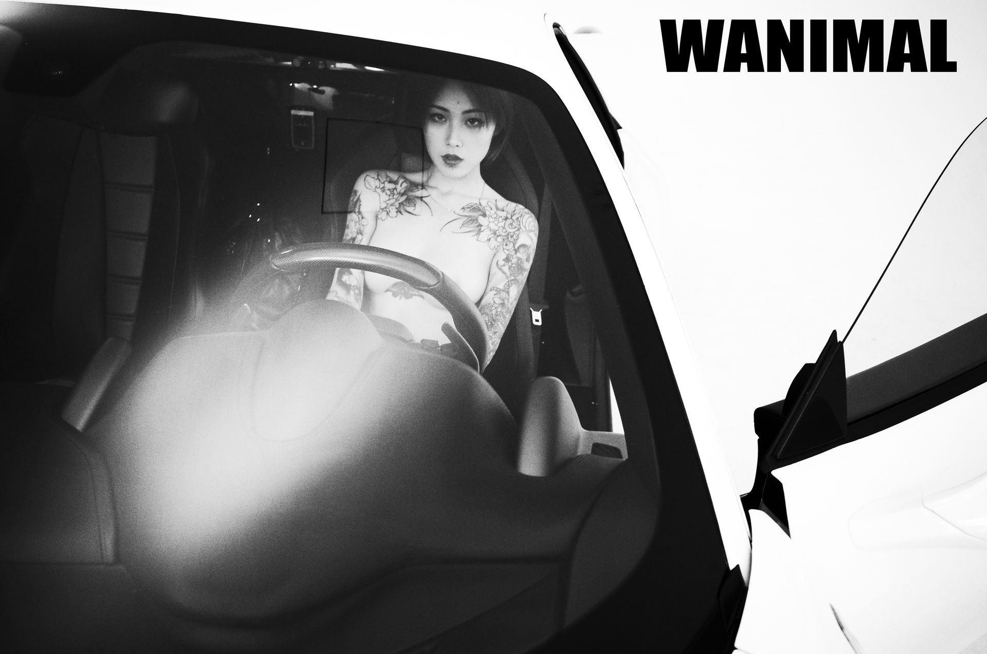 王动出品：法拉利女孩 - 王动作品