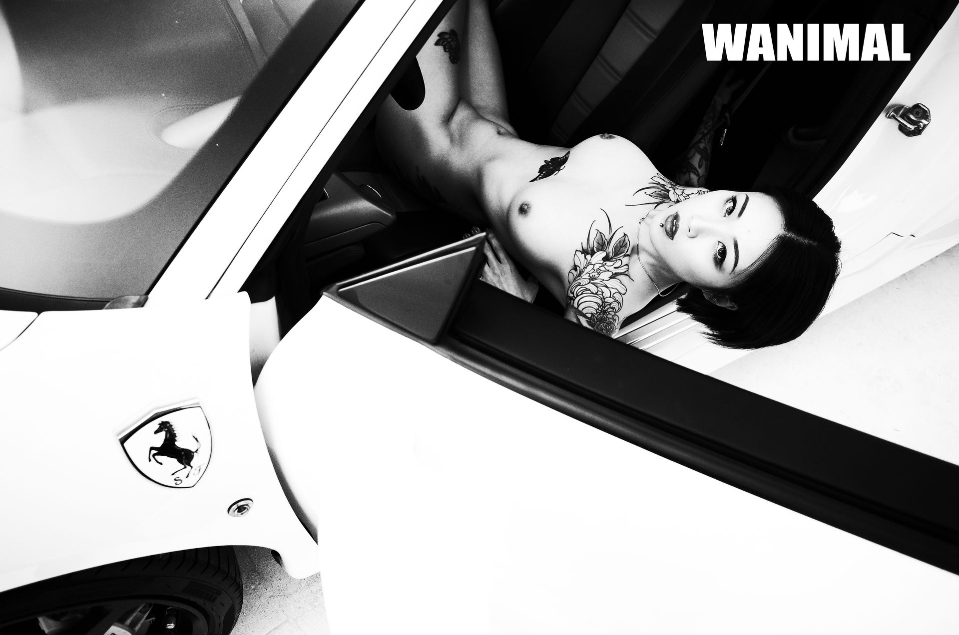 王动出品：法拉利女孩 - 王动作品