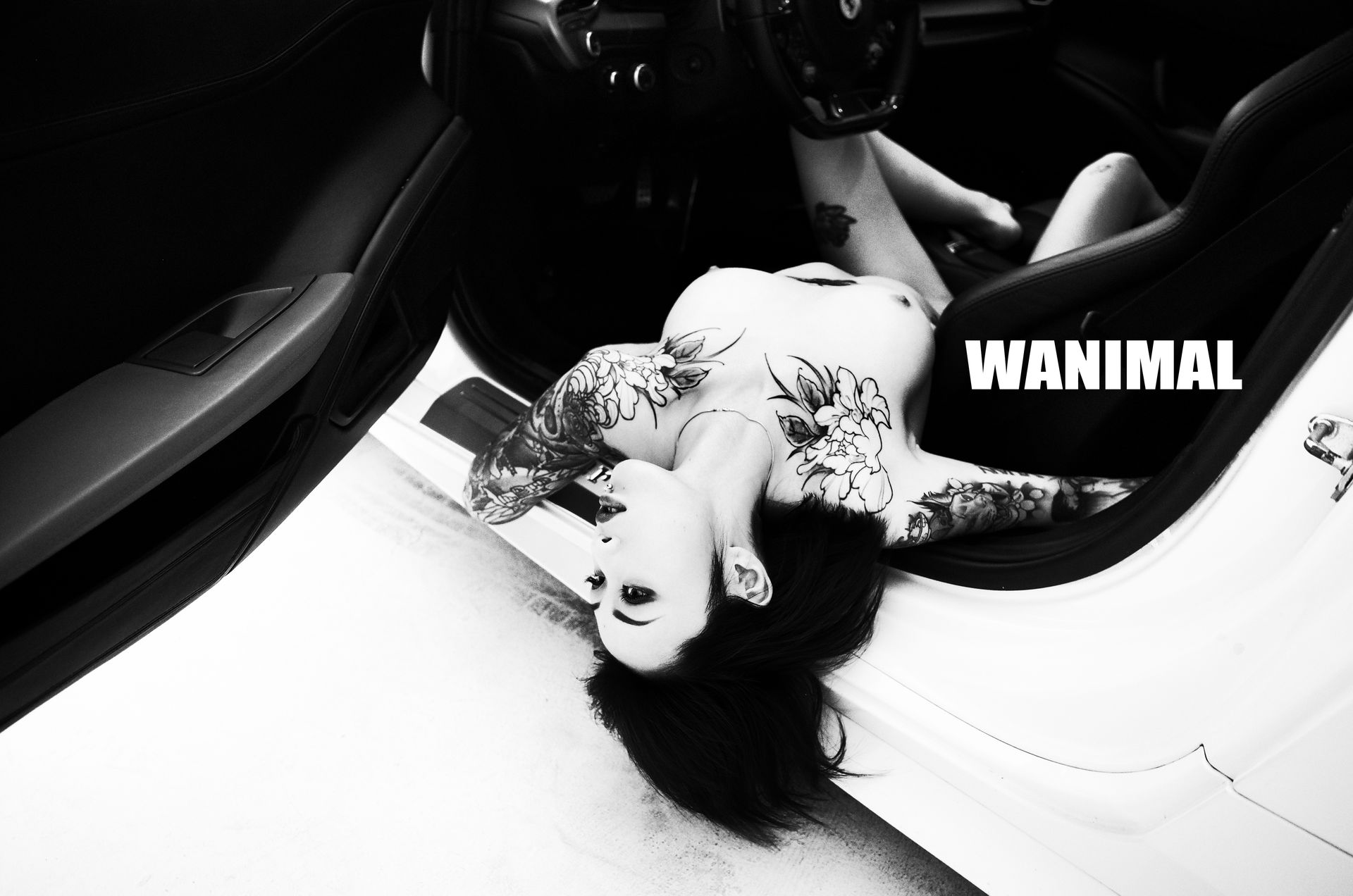 王动出品：法拉利女孩 - 王动作品