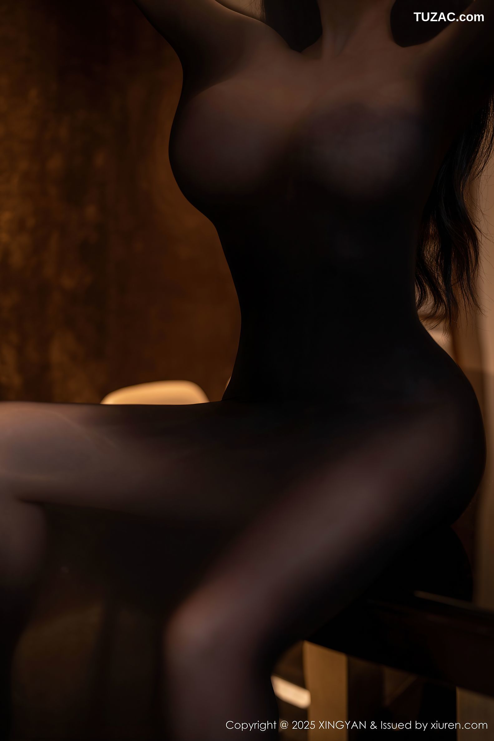 XingYan星颜社-309-潘思沁-轻透连体黑丝爆乳-2025.02.14