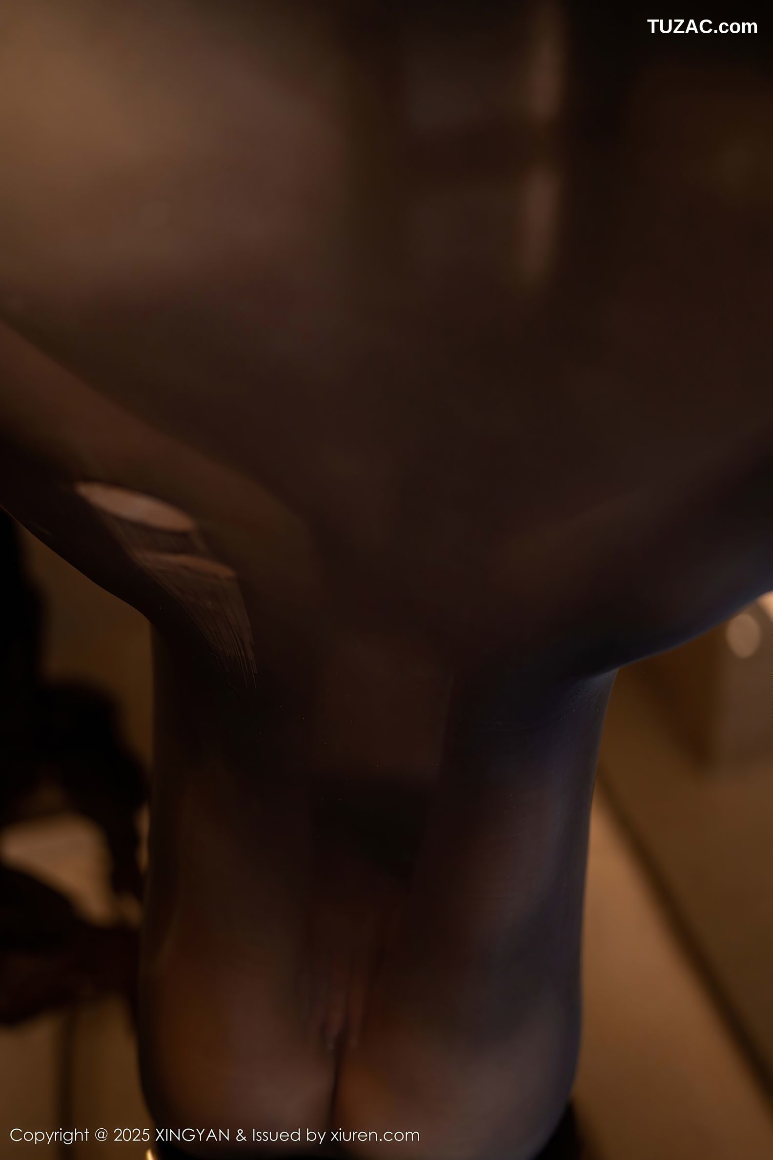 XingYan星颜社-309-潘思沁-轻透连体黑丝爆乳-2025.02.14