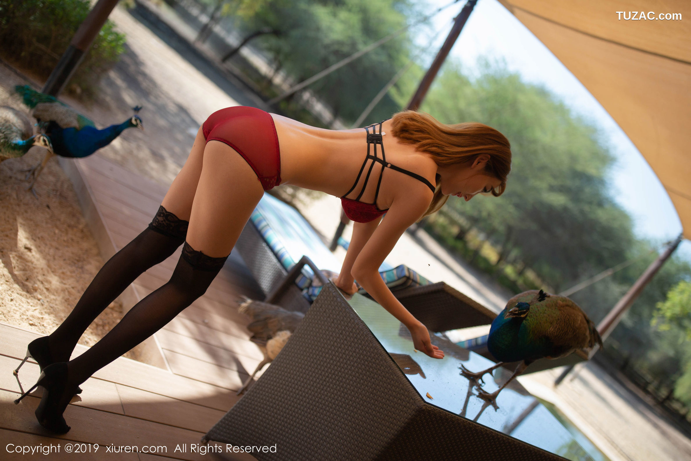 XiuRen秀人网-1826-陆萱萱-《孔雀饲养员主题》-2019.12.05