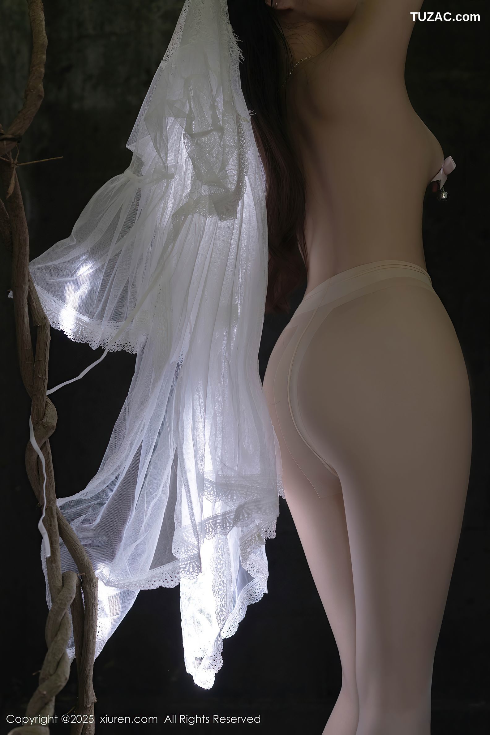 XiuRen秀人网-10173-鱼子酱Fish-古风透视白纱裙真空裸体-2025.04.18