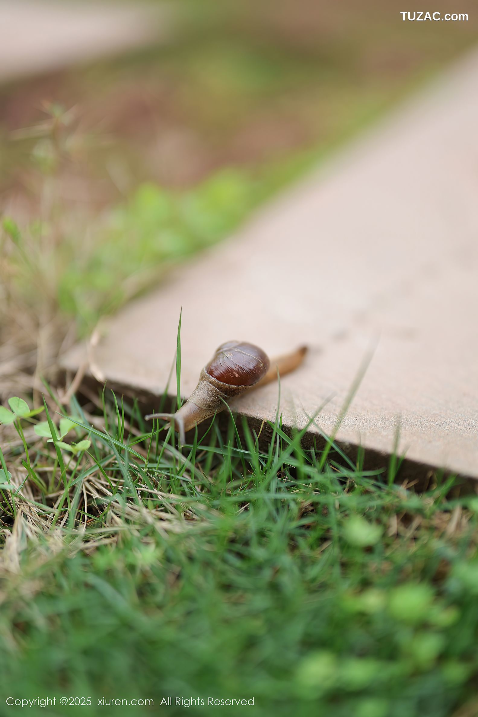 XiuRen秀人网-10215-茂木希子-新人红色长裙白色内衣肉丝-2025.04.29