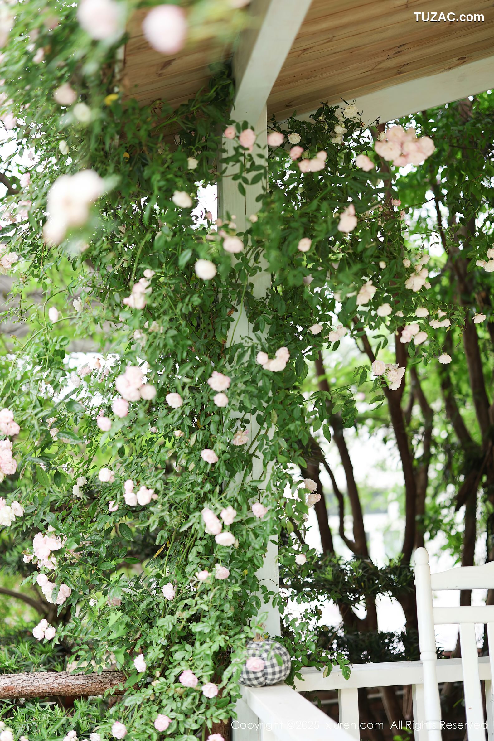 XiuRen秀人网-10215-茂木希子-新人红色长裙白色内衣肉丝-2025.04.29