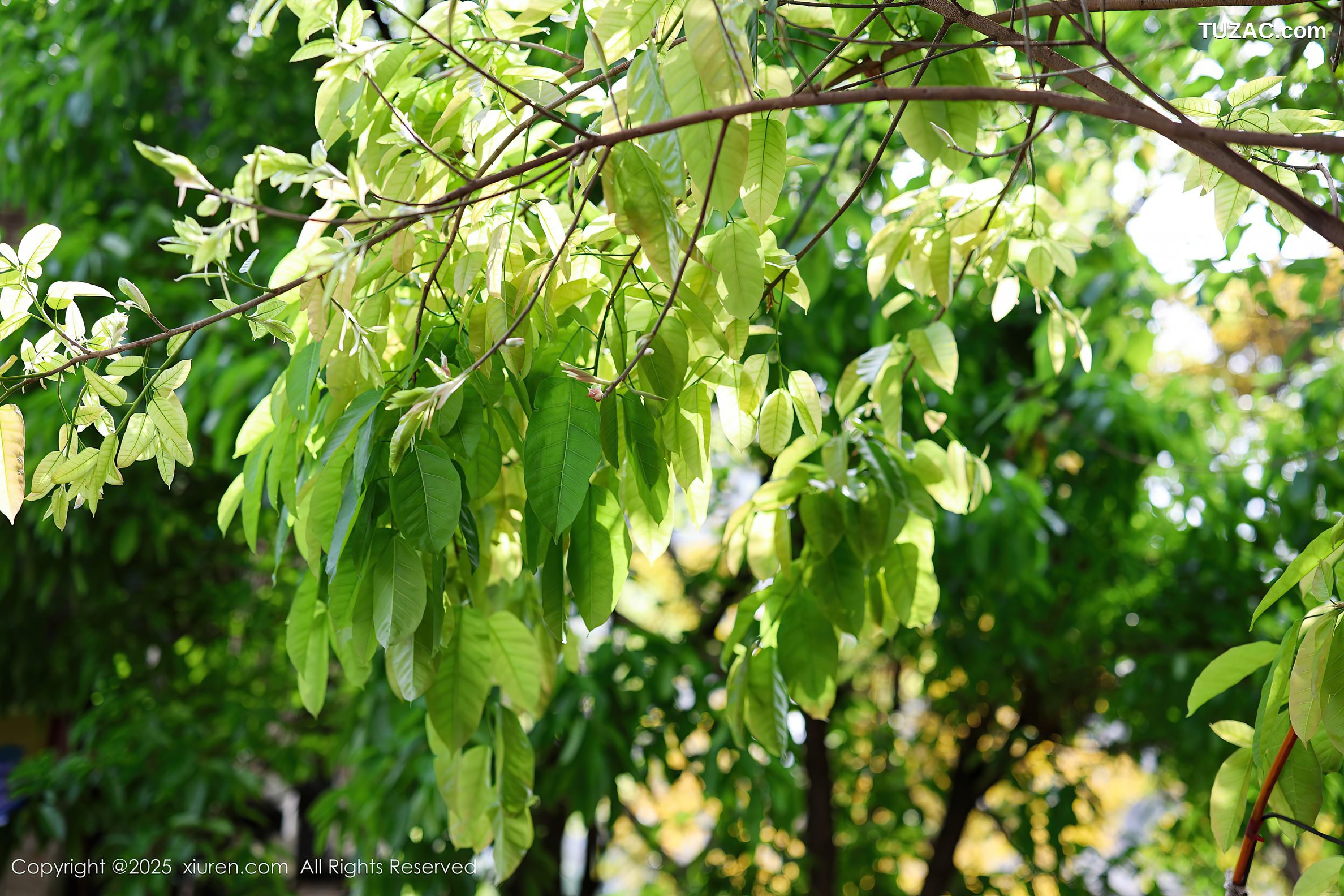 XiuRen秀人网-10247-茂木希子-桔色T恤白裙玉体诱人-2025.05.08