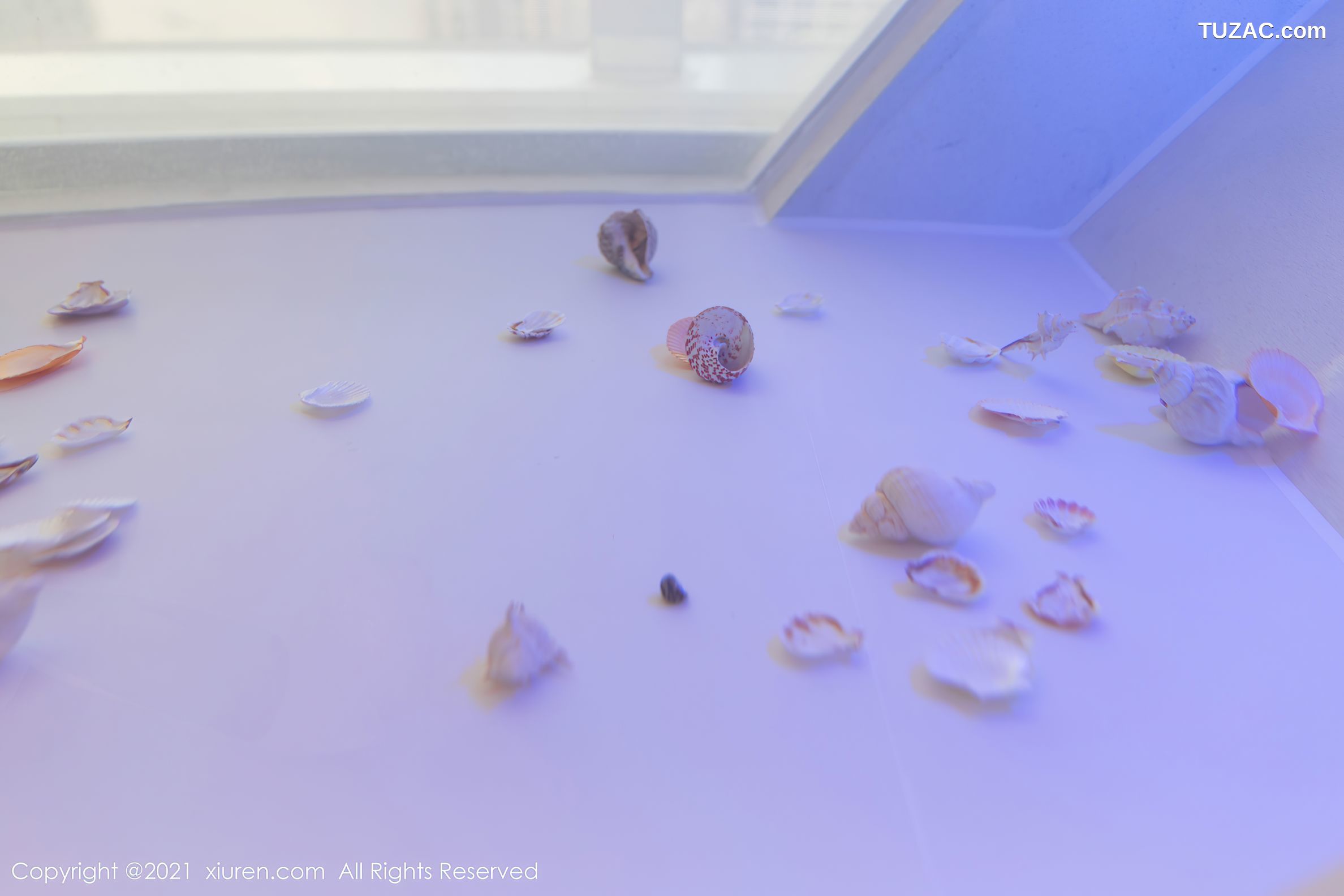 XiuRen秀人网-4103-允爾-绚丽多姿吊带袜傲人豪乳贝壳遮点-2021.10.22