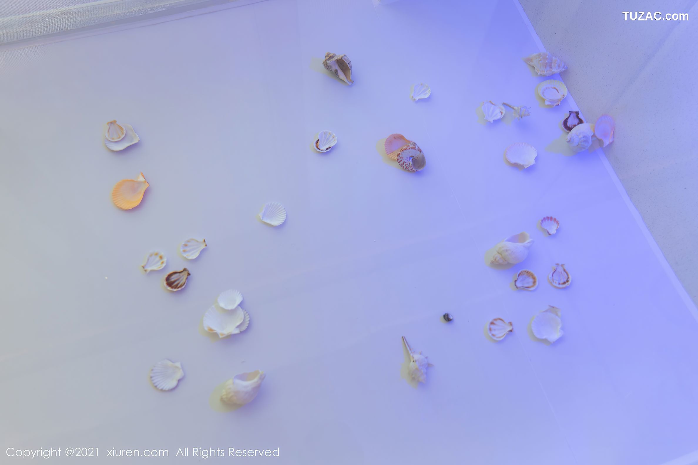 XiuRen秀人网-4103-允爾-绚丽多姿吊带袜傲人豪乳贝壳遮点-2021.10.22