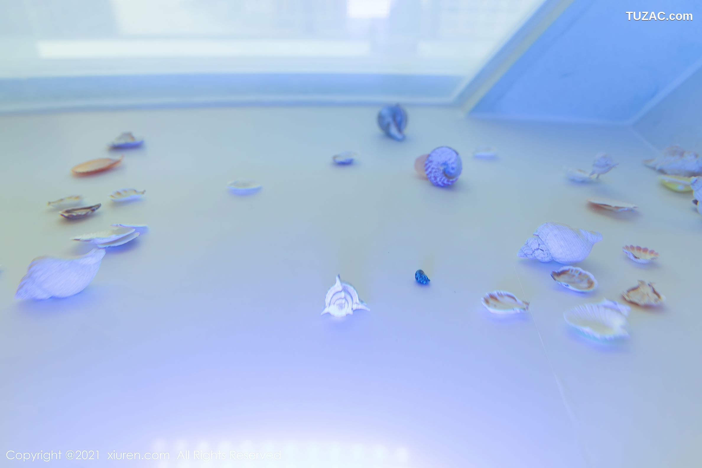 XiuRen秀人网-4103-允爾-绚丽多姿吊带袜傲人豪乳贝壳遮点-2021.10.22