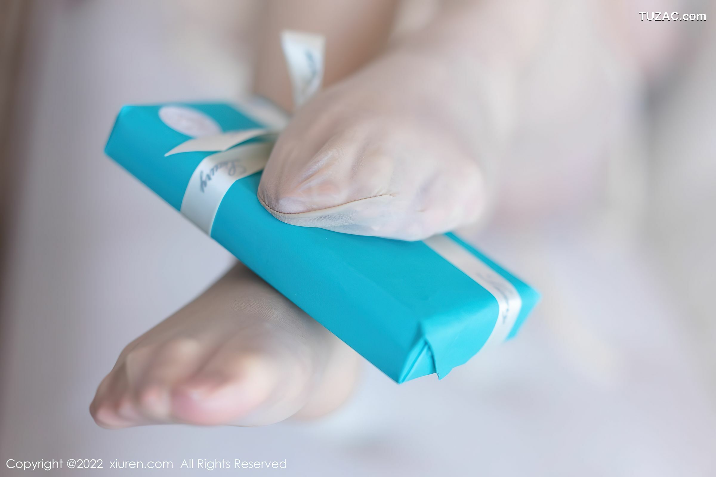 XiuRen-No.5157-允爾-白轻透紧身衣肉丝