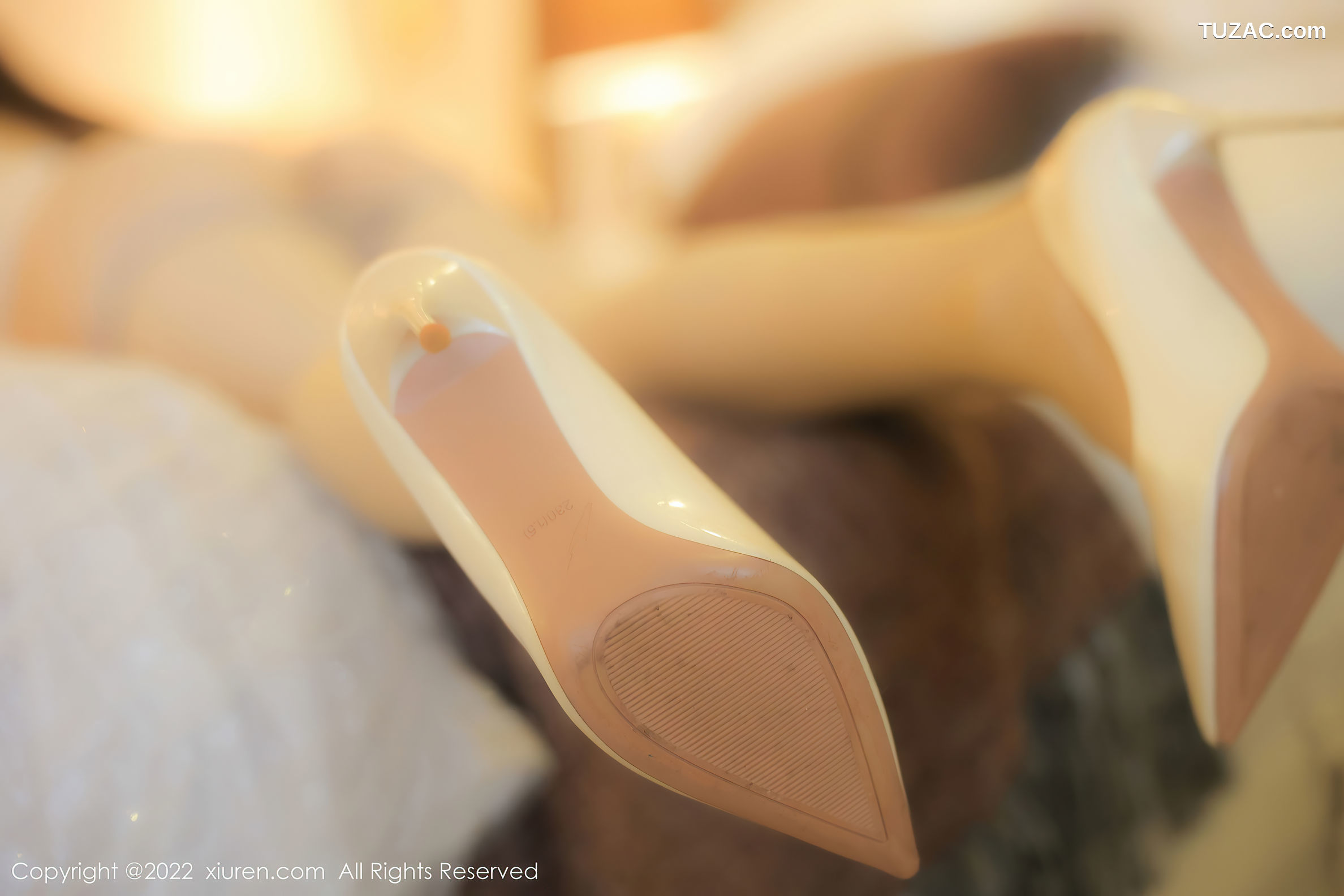 XiuRen-No.5393-朱可儿-灰白低胸短裙肉丝