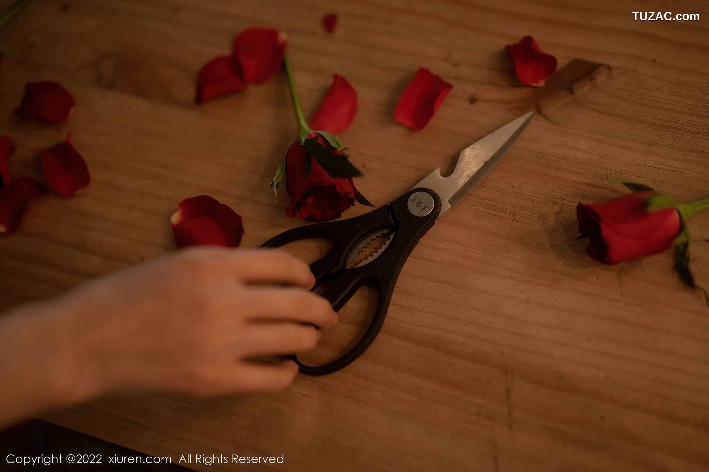 XiuRen-No.5552-婠婠么-玫瑰公主黑丝