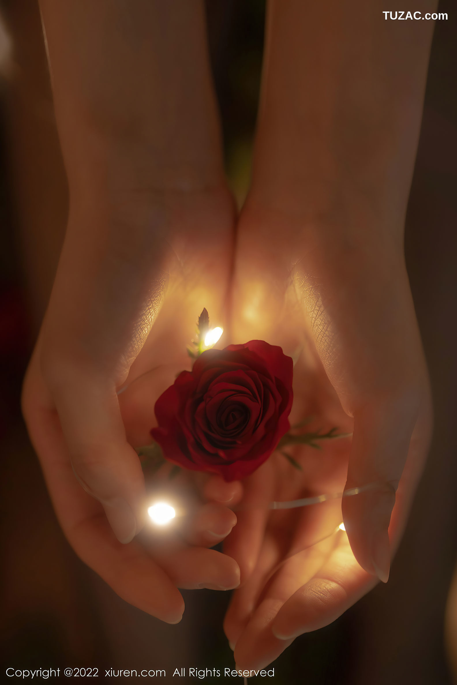 XiuRen-No.5552-婠婠么-玫瑰公主黑丝