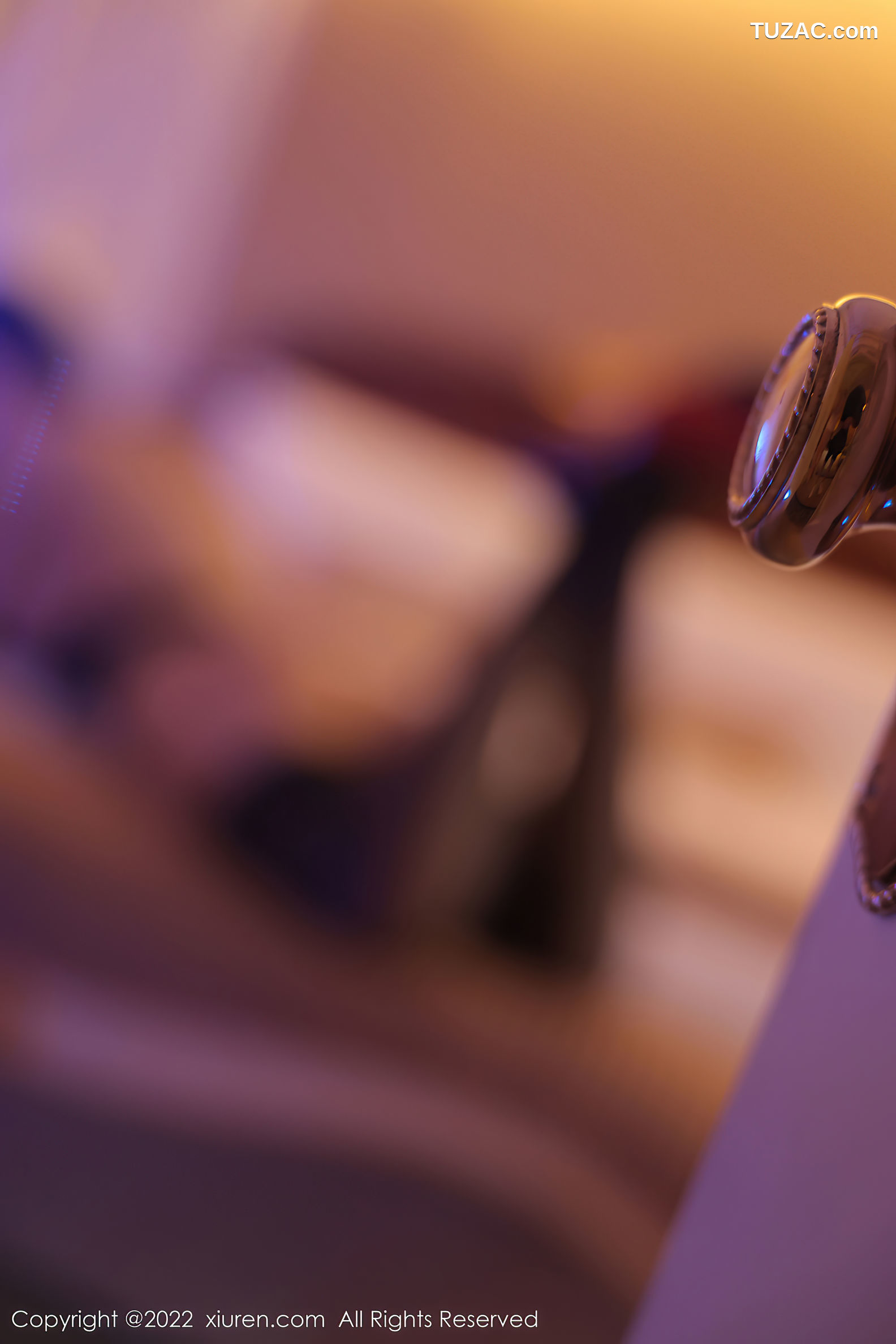 XiuRen-No.5589-田冰冰-黑纱透视内衣黑丝