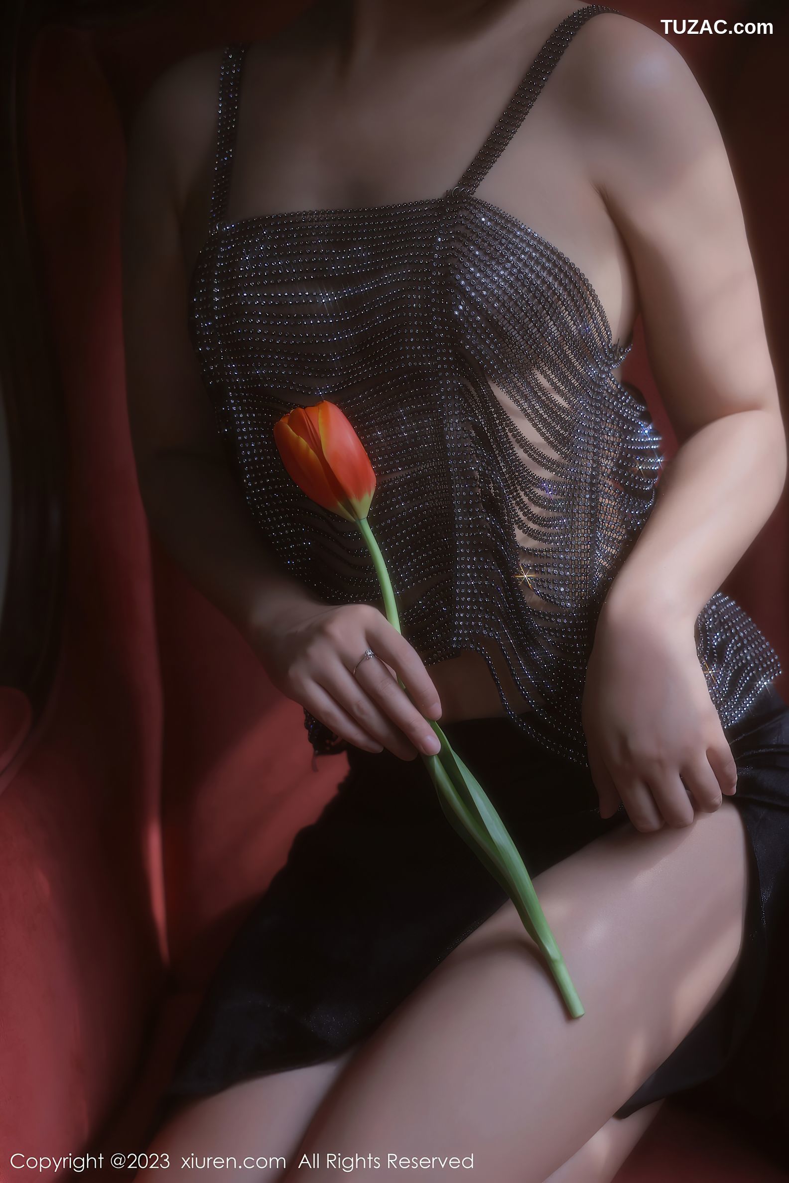 XiuRen秀人网-6601-露露Luncy-万宁旅拍-紫色轻透情趣服饰-2023.04.20