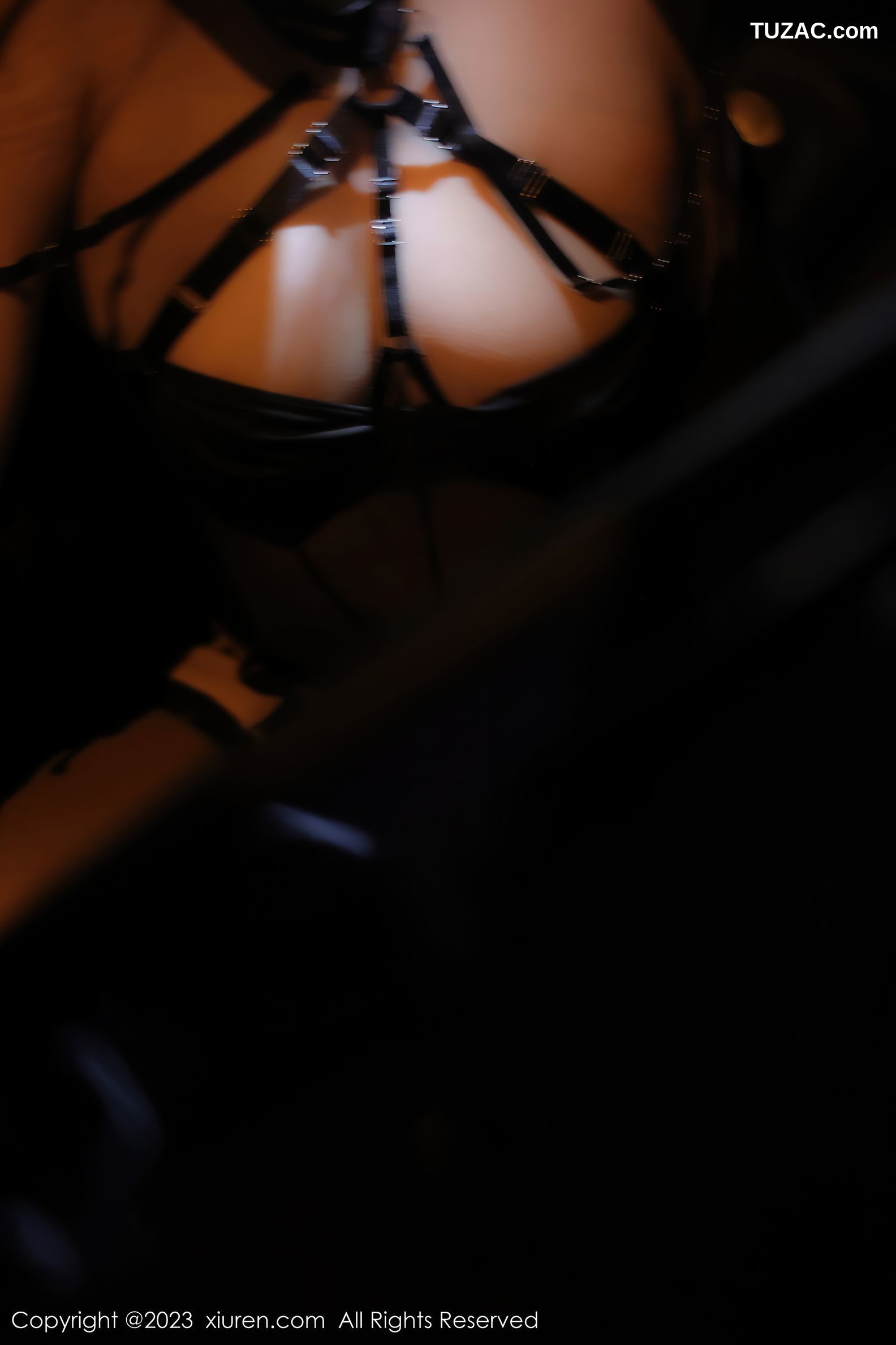 XiuRen秀人网-6650-江真真-黑色薄透情趣内衣黑丝吊带袜-2023.04.27