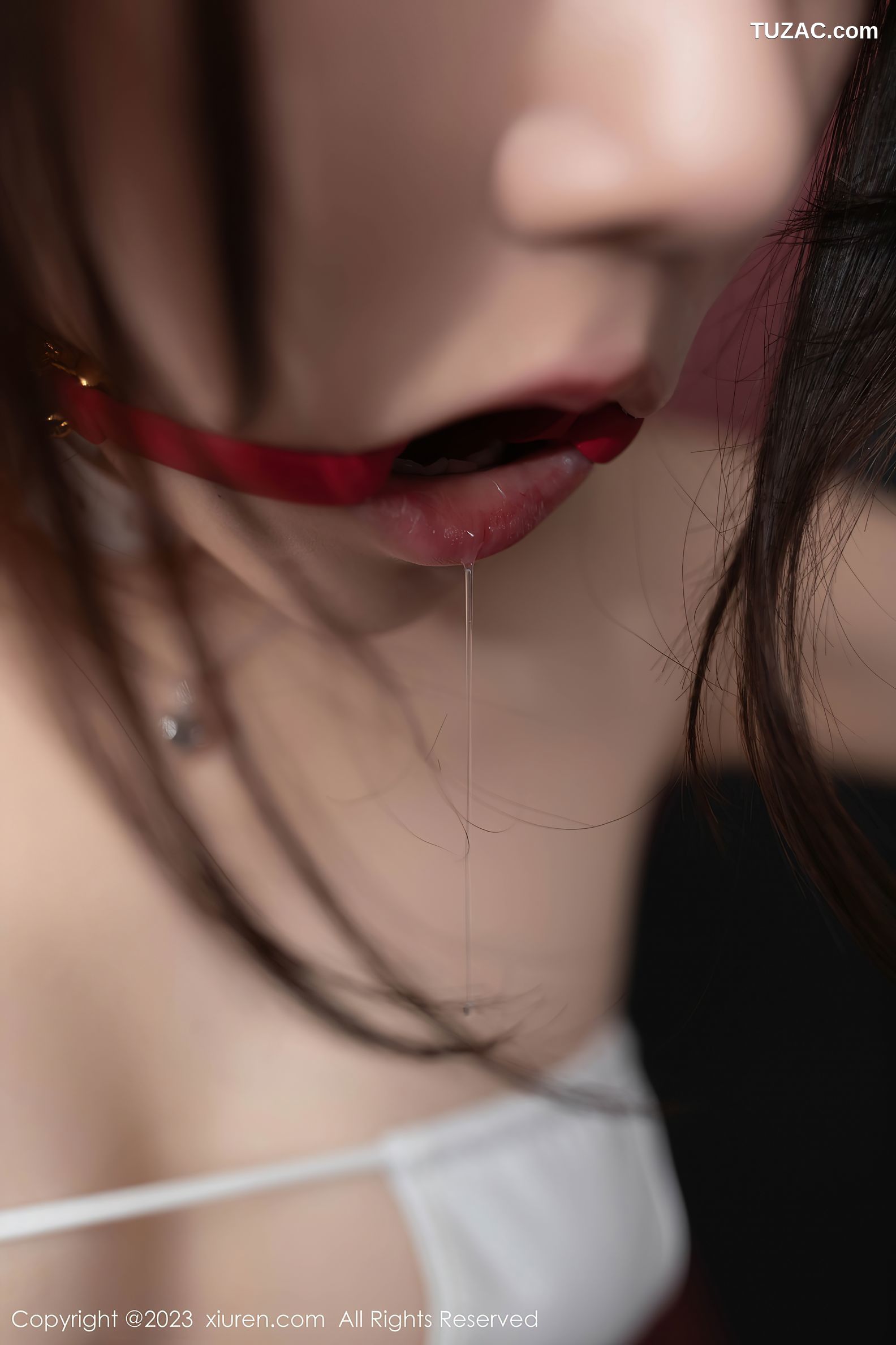 XiuRen秀人网-7223-鱼子酱Fish-“五十度灰”主题情趣绑缚-2023.08.11