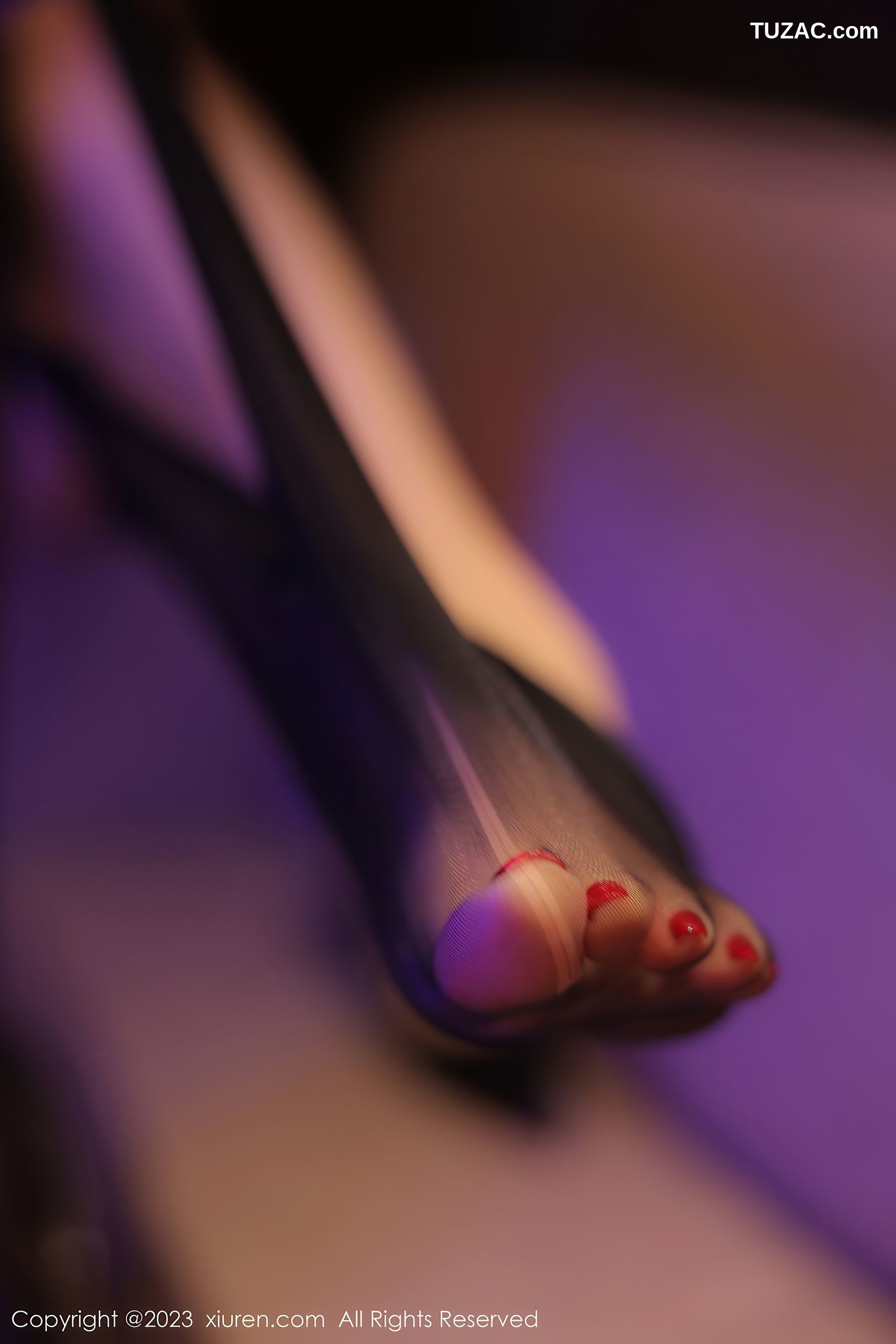 XiuRen秀人网-7848-田冰冰-黑色情趣连衣短裙黑丝爆乳-2023.12.22