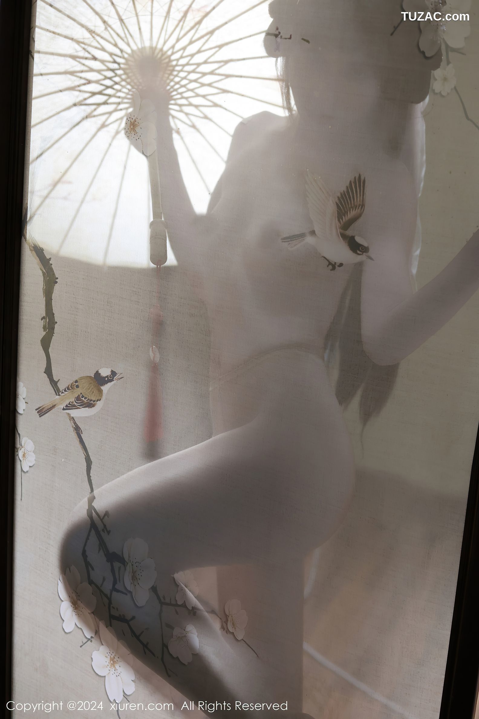 XiuRen秀人网-7989-金tiao-古风粉色亵衣蓝绿纱裙爆乳-2024.01.19