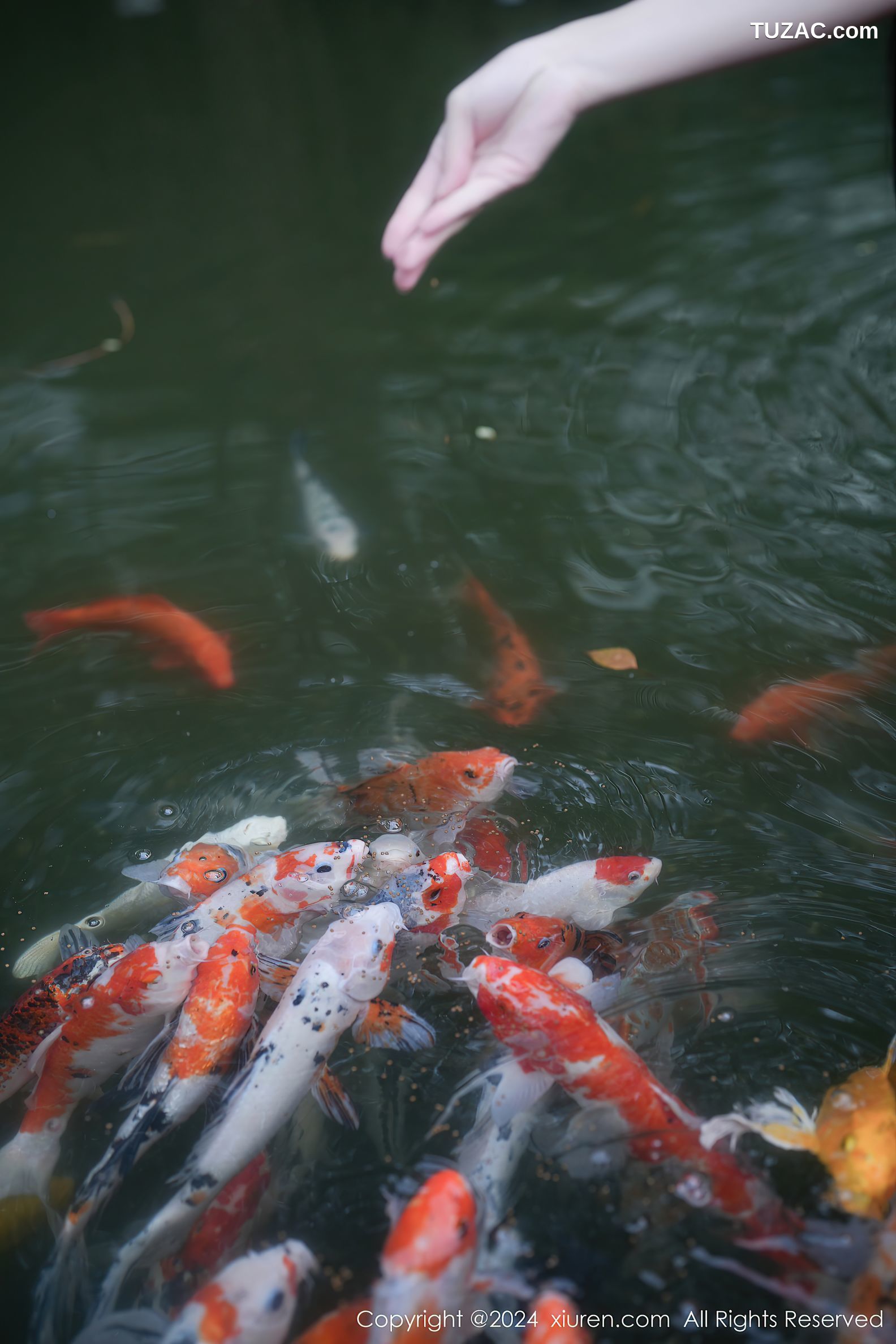 XiuRen秀人网-7996-伊雪儿-深色花纹比基尼-2024.01.22