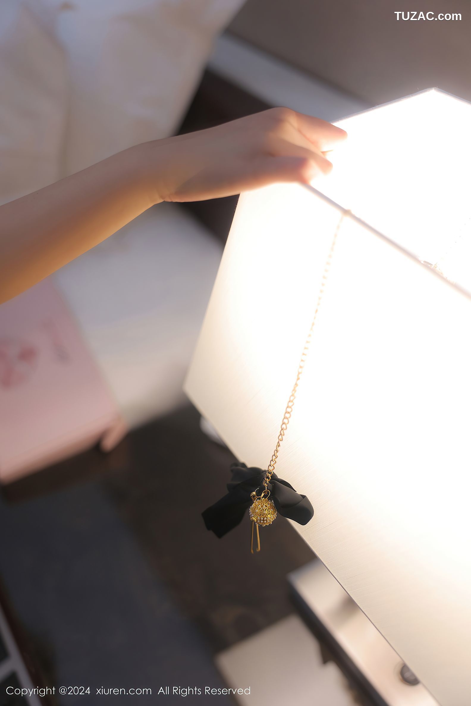 XiuRen秀人网-8442-王心悦-粉带情趣内衣爆乳-2024.04.24