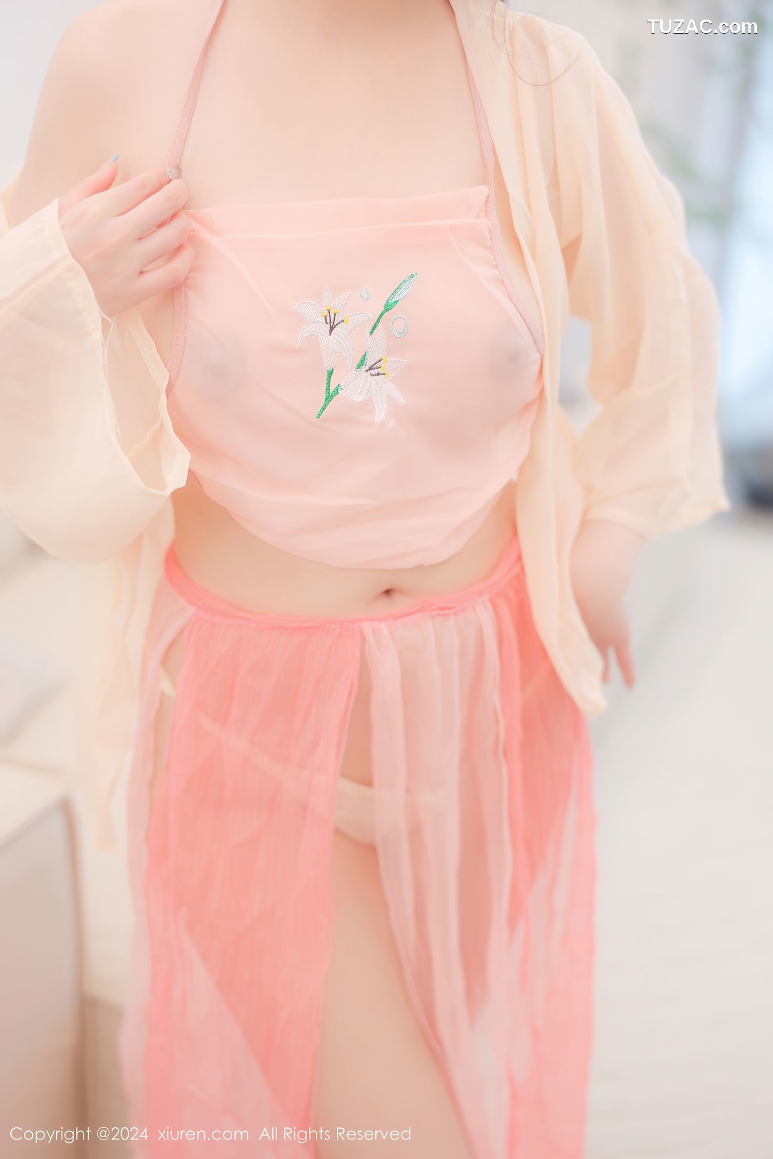 XiuRen秀人网-8906-软软酱-古风粉纱裙淡粉肚兜爆乳-2024.07.24