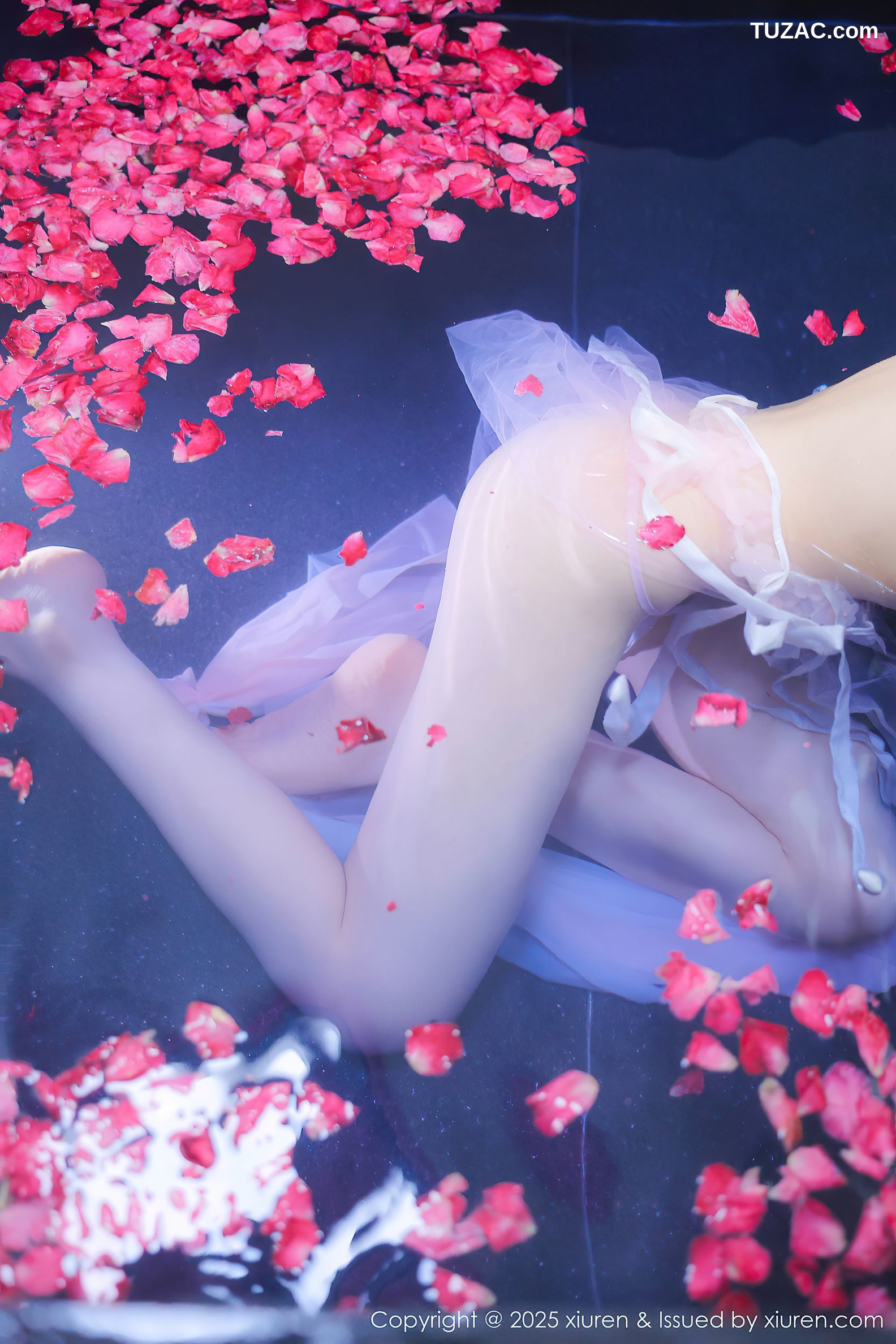 XiuRen秀人网-9778-桃妖夭-古风轻透淡紫纱湿身沐浴-2025.01.17