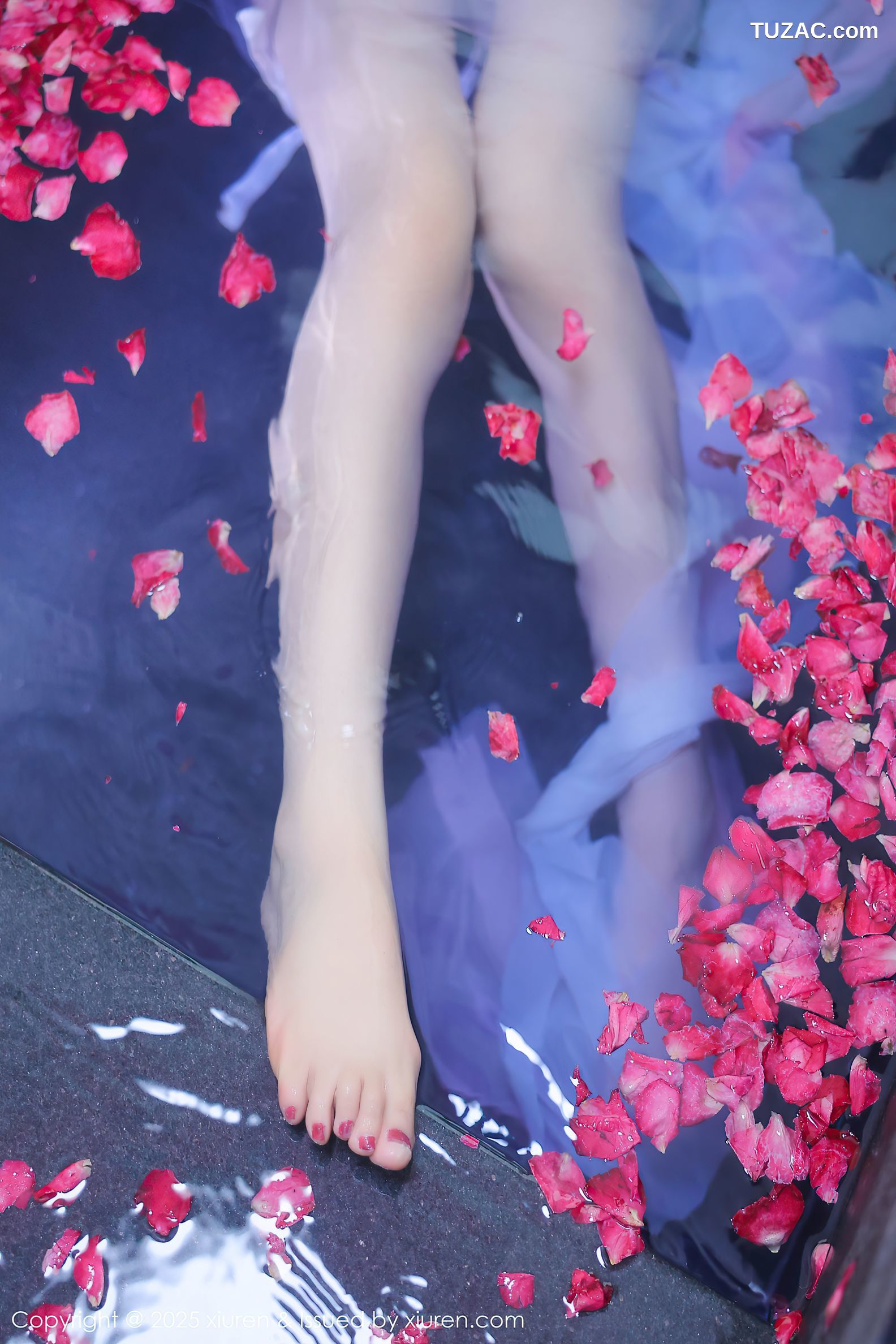 XiuRen秀人网-9778-桃妖夭-古风轻透淡紫纱湿身沐浴-2025.01.17