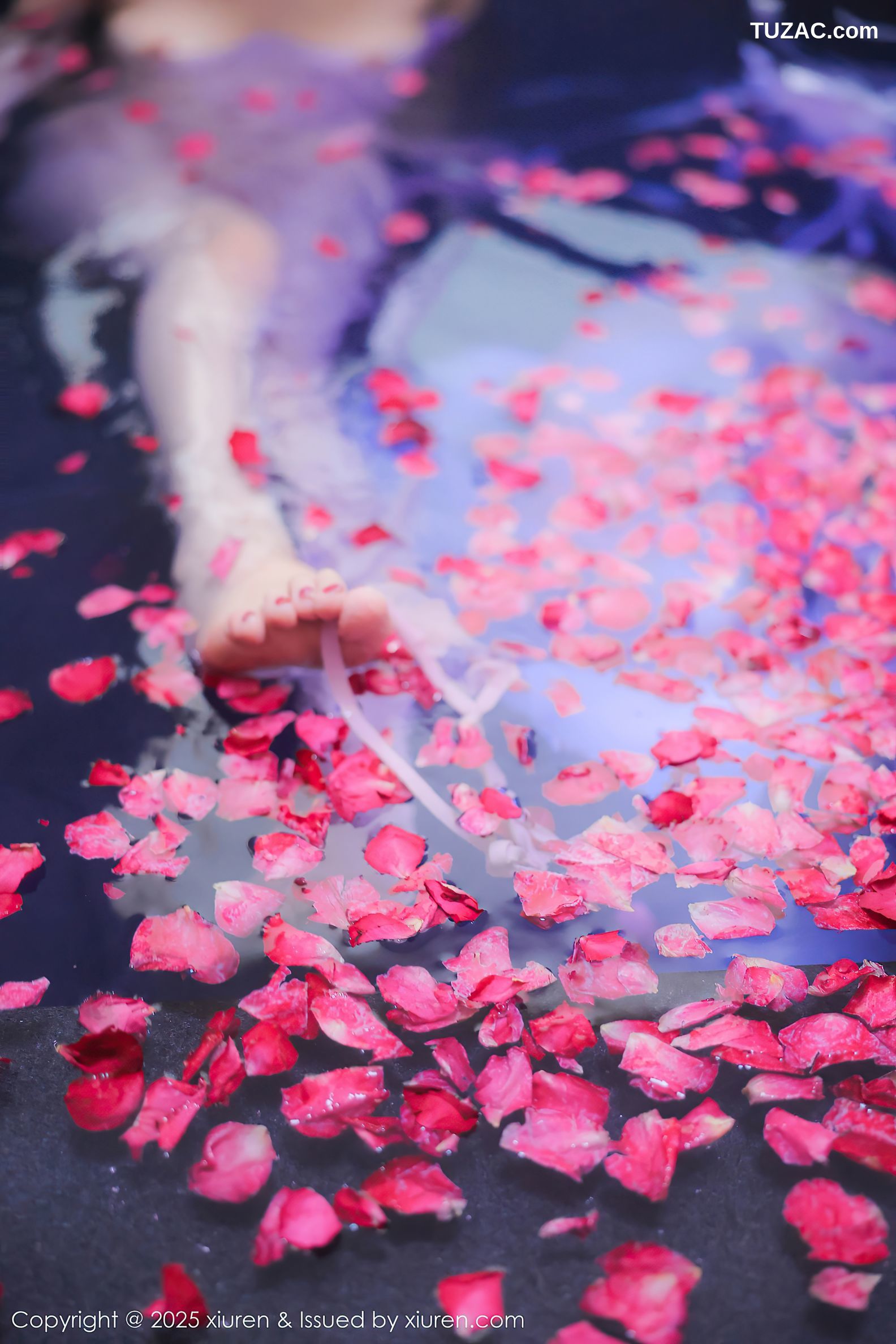 XiuRen秀人网-9778-桃妖夭-古风轻透淡紫纱湿身沐浴-2025.01.17