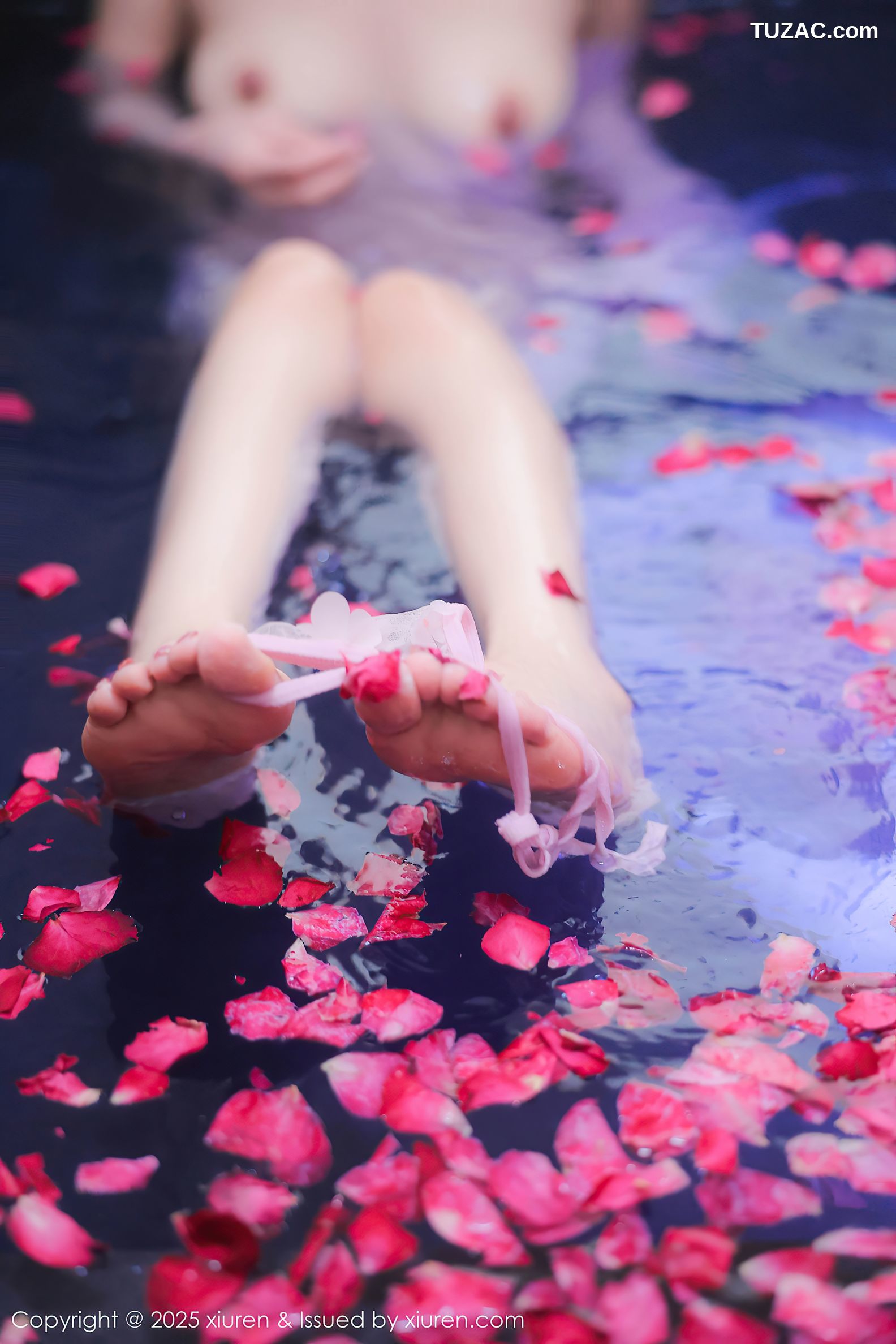 XiuRen秀人网-9778-桃妖夭-古风轻透淡紫纱湿身沐浴-2025.01.17