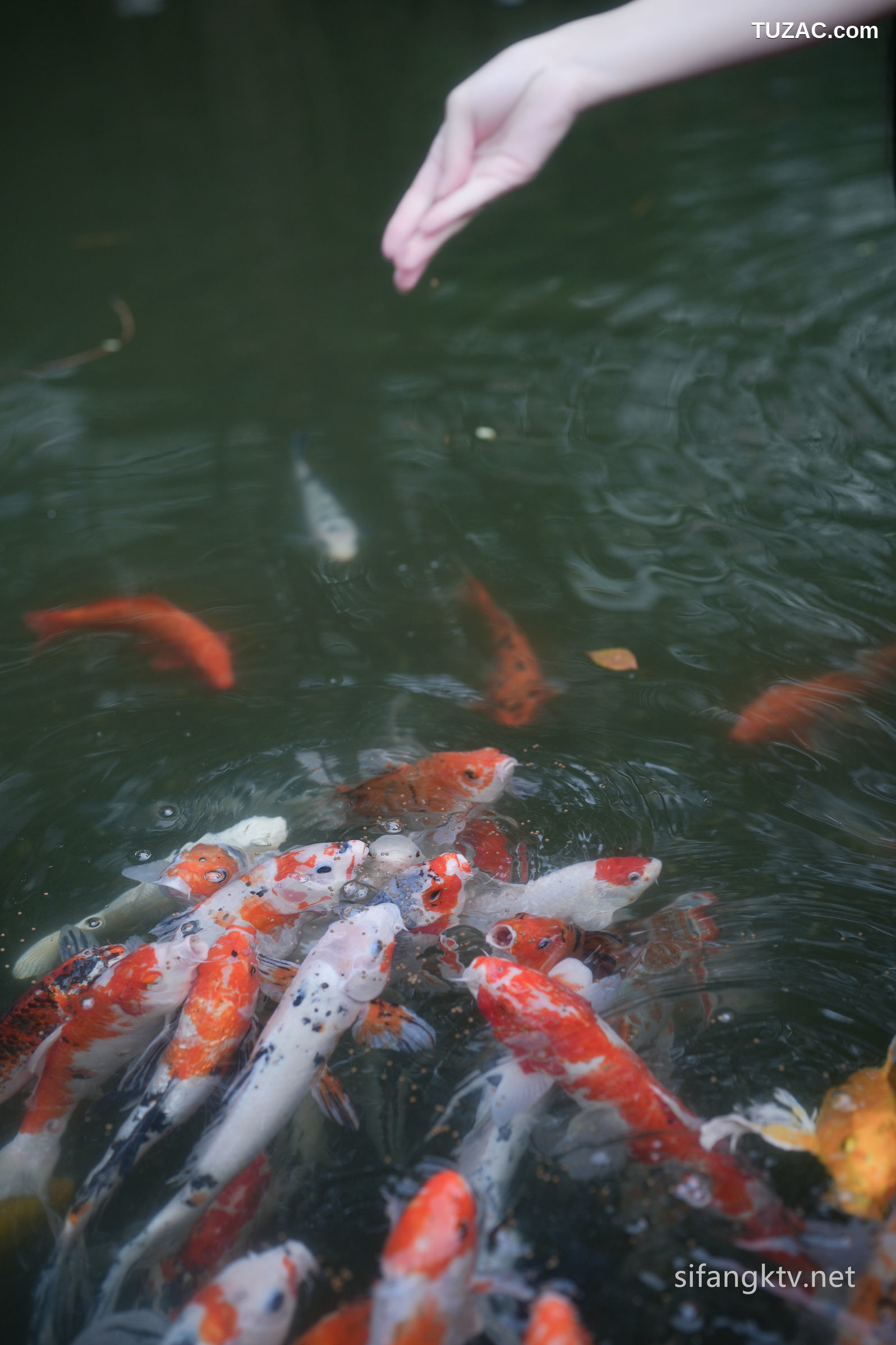 XR-Uncensored-龙雪儿-泳衣-内购版-XiuRen秀人网-7996-内购私拍