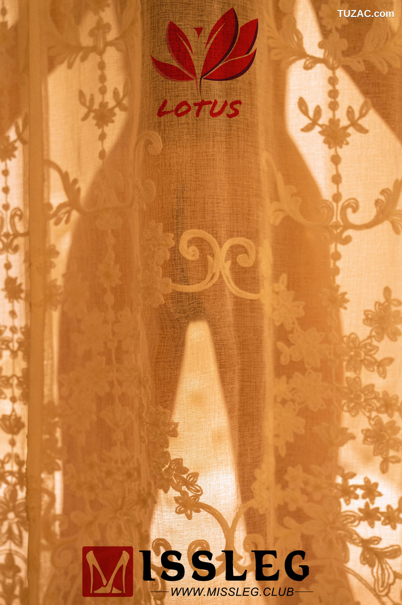 MissLeg蜜丝-M003-皮皮-《求醉》