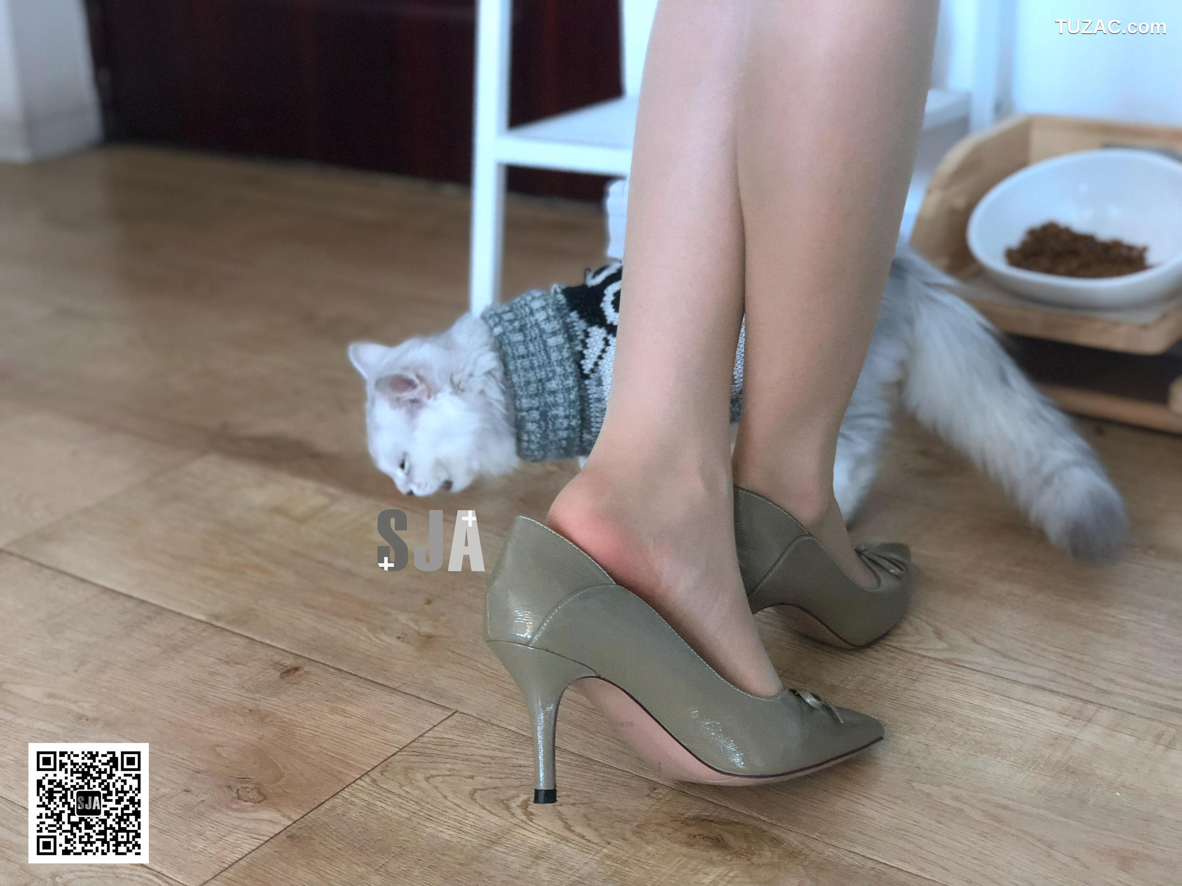 佳爷SJA-013-闺蜜视角《喵》